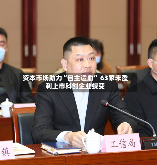 资本市场助力“自主造血	” 63家未盈利上市科创企业蝶变-第2张图片