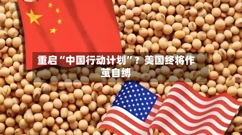 重启“中国行动计划	”？美国终将作茧自缚-第3张图片