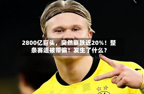 2800亿巨头，突然崩跌近20%！整条赛道被带偏！发生了什么？-第2张图片