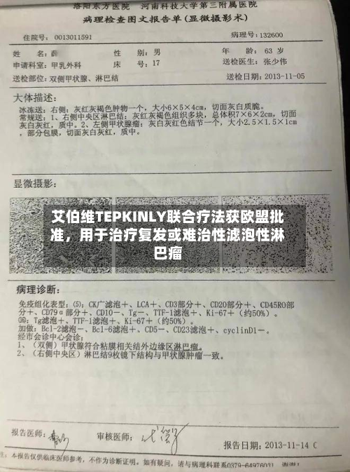 艾伯维TEPKINLY联合疗法获欧盟批准	，用于治疗复发或难治性滤泡性淋巴瘤-第2张图片