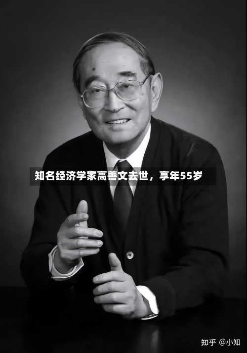知名经济学家高善文去世	，享年55岁-第2张图片