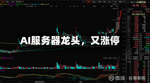 AI服务器龙头，又涨停-第3张图片
