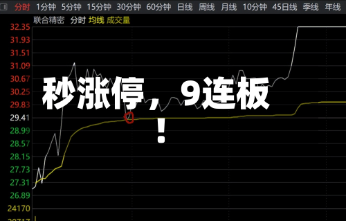 秒涨停，9连板！-第2张图片