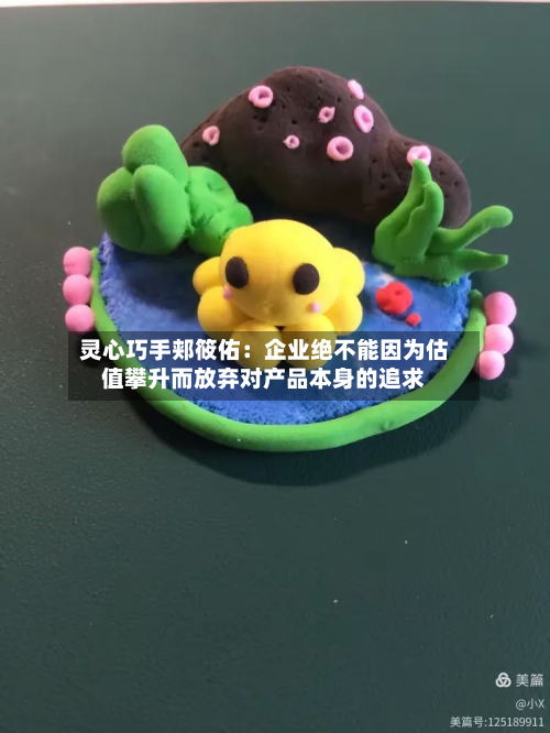 灵心巧手郏筱佑:企业绝不能因为估值攀升而放弃对产品本身的追求-第3张图片