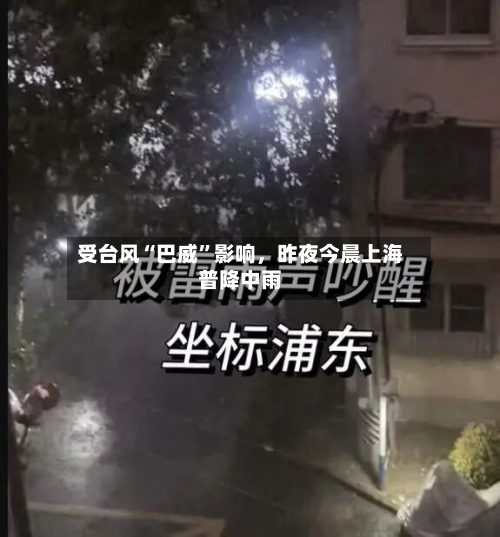受台风“巴威”影响，昨夜今晨上海普降中雨-第3张图片