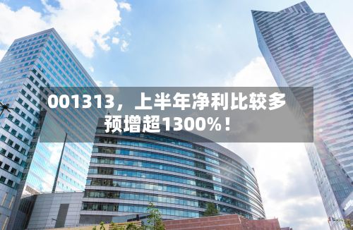 001313	，上半年净利比较多预增超1300%！-第3张图片