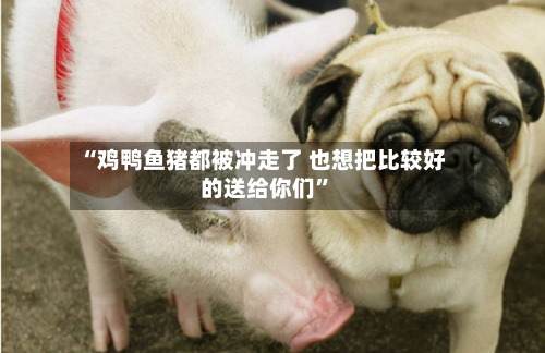 “鸡鸭鱼猪都被冲走了 也想把比较好的送给你们”-第3张图片