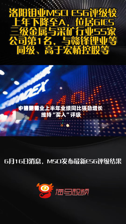 中银世界：洛阳钼业上半年业绩同比强劲增长 维持“买入”评级-第3张图片