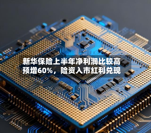 新华保险上半年净利润比较高预增60%，险资入市红利兑现-第3张图片