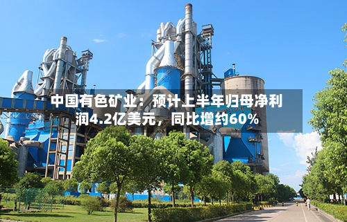 中国有色矿业：预计上半年归母净利润4.2亿美元，同比增约60%-第2张图片