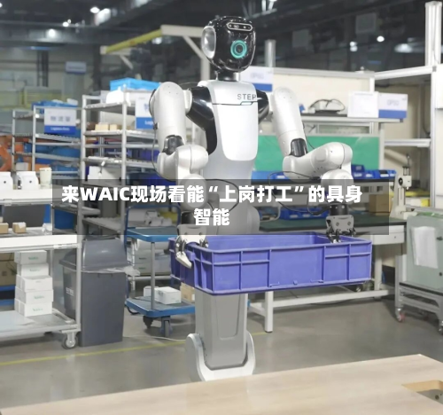 来WAIC现场看能“上岗打工”的具身智能-第2张图片