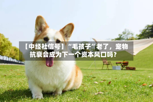 【中经社信号】“毛孩子	”老了	，宠物抗衰会成为下一个资本风口吗？-第2张图片