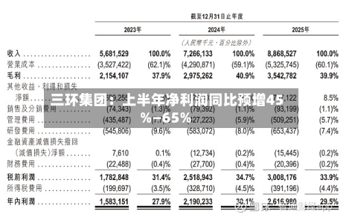 三环集团:上半年净利润同比预增45%—65%-第1张图片