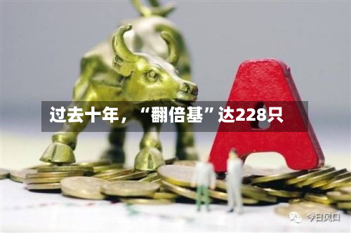 过去十年，“翻倍基”达228只-第2张图片