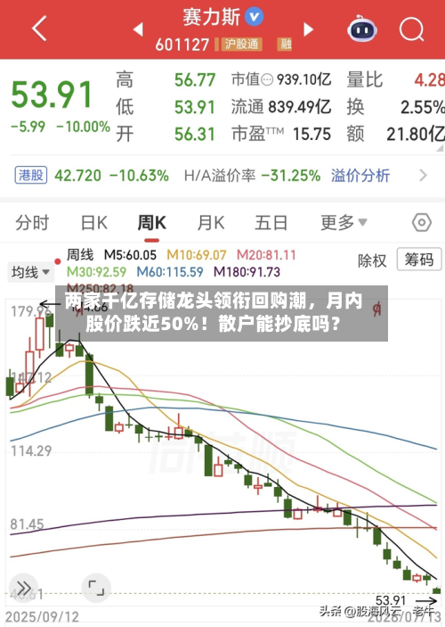 两家千亿存储龙头领衔回购潮	，月内股价跌近50%！散户能抄底吗？-第2张图片