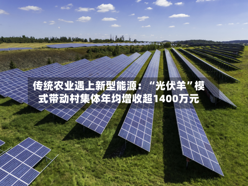 传统农业遇上新型能源：“光伏羊”模式带动村集体年均增收超1400万元-第2张图片