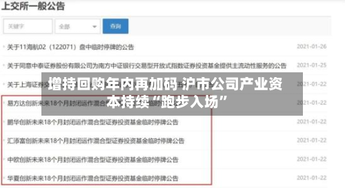 增持回购年内再加码 沪市公司产业资本持续“跑步入场”-第2张图片