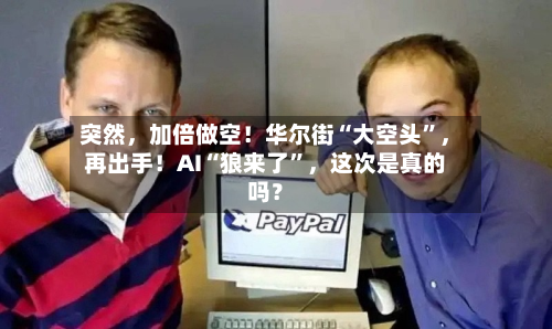 突然，加倍做空！华尔街“大空头	”	，再出手！AI“狼来了”，这次是真的吗？-第2张图片