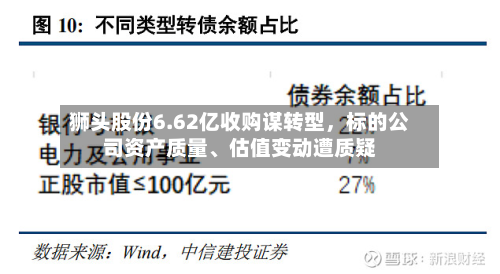 狮头股份6.62亿收购谋转型	，标的公司资产质量、估值变动遭质疑-第3张图片
