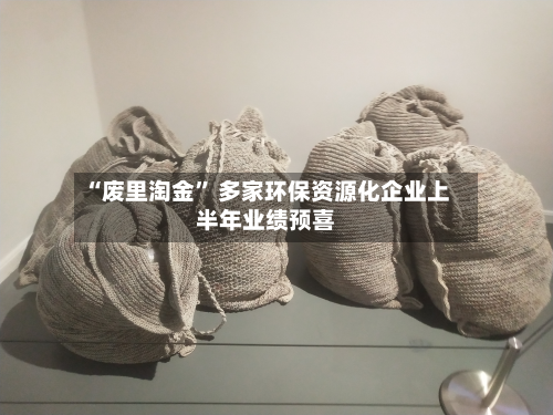 “废里淘金” 多家环保资源化企业上半年业绩预喜-第2张图片