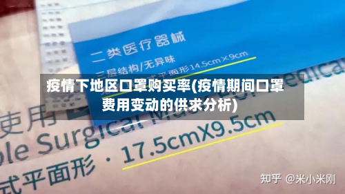 疫情下地区口罩购买率(疫情期间口罩费用变动的供求分析)-第3张图片