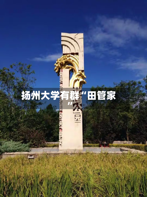 扬州大学有群“田管家”-第2张图片
