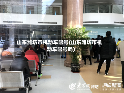 山东潍坊市机动车限号(山东潍坊市机动车限号吗)