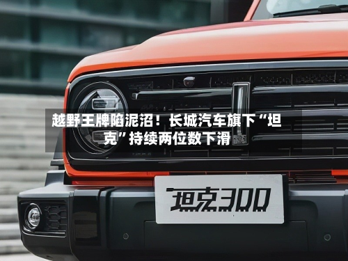 越野王牌陷泥沼！长城汽车旗下“坦克	”持续两位数下滑-第2张图片