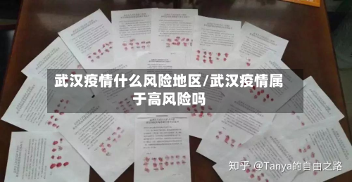 武汉疫情什么风险地区/武汉疫情属于高风险吗