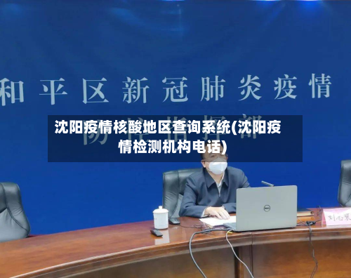 沈阳疫情核酸地区查询系统(沈阳疫情检测机构电话)