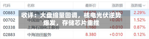 收评：大盘缩量回调，核电光伏逆势爆发，存储芯片重挫-第2张图片