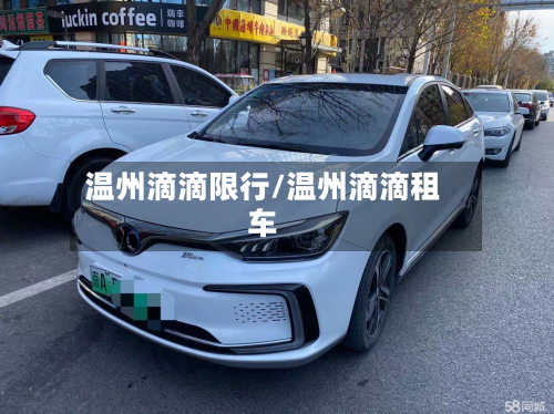 温州滴滴限行/温州滴滴租车-第2张图片