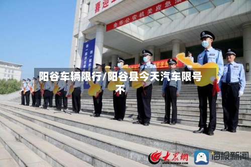 阳谷车辆限行/阳谷县今天汽车限号不-第2张图片