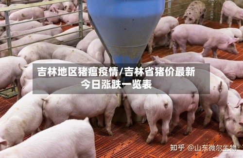 吉林地区猪瘟疫情/吉林省猪价最新今日涨跌一览表