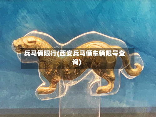 兵马俑限行(西安兵马俑车辆限号查询)-第2张图片