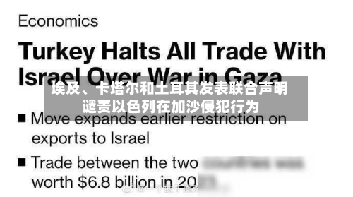 埃及	、卡塔尔和土耳其发表联合声明 谴责以色列在加沙侵犯行为-第2张图片