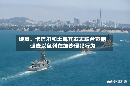 埃及、卡塔尔和土耳其发表联合声明 谴责以色列在加沙侵犯行为-第3张图片