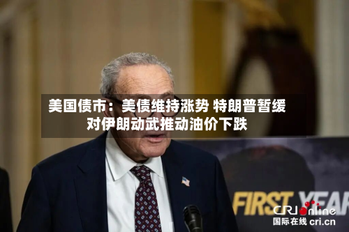 美国债市：美债维持涨势 特朗普暂缓对伊朗动武推动油价下跌-第3张图片