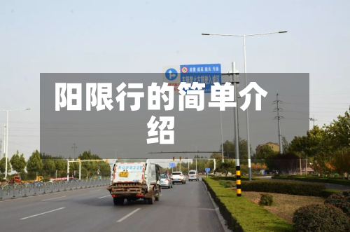 阳限行的简单介绍
