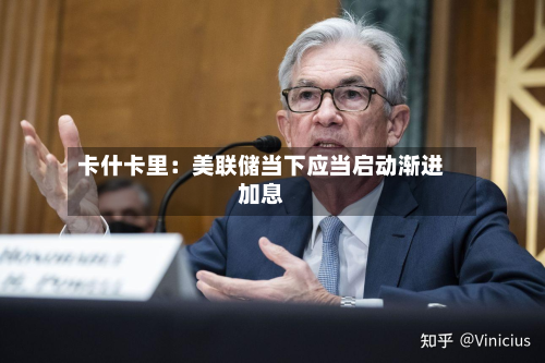 卡什卡里:美联储当下应当启动渐进加息-第2张图片