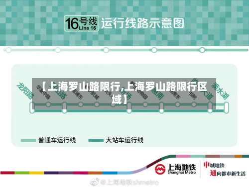 【上海罗山路限行,上海罗山路限行区域】-第2张图片