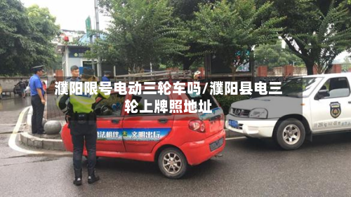 濮阳限号电动三轮车吗/濮阳县电三轮上牌照地址