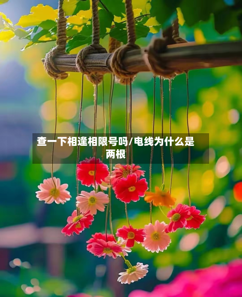 查一下相逢相限号吗/电线为什么是两根-第2张图片