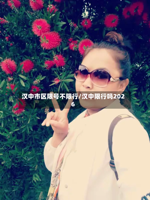 汉中市区限号不限行/汉中限行吗2026-第2张图片