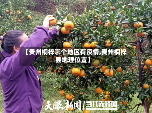 【贵州桐梓哪个地区有疫情,贵州桐梓县地理位置】-第2张图片