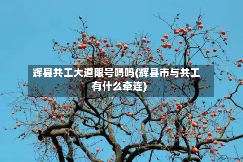 辉县共工大道限号吗吗(辉县市与共工有什么牵连)-第3张图片