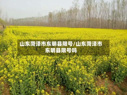 山东菏泽市东明县限号/山东菏泽市东明县限号吗-第2张图片