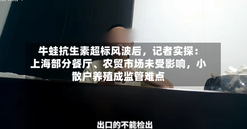 牛蛙抗生素超标风波后	，记者实探：上海部分餐厅、农贸市场未受影响，小散户养殖成监管难点-第2张图片