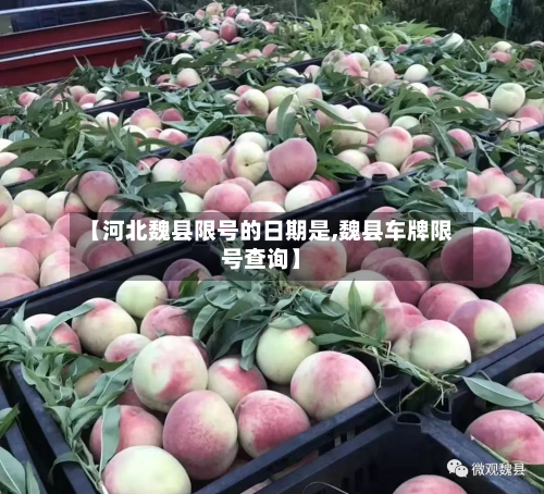 【河北魏县限号的日期是,魏县车牌限号查询】-第2张图片