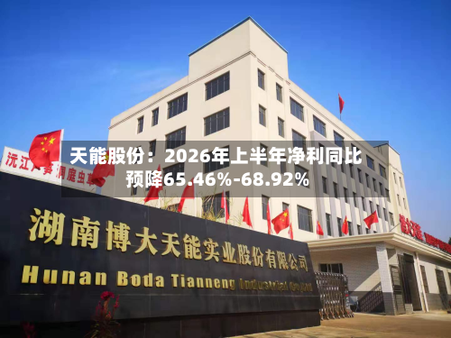 天能股份:2026年上半年净利同比预降65.46%-68.92%-第3张图片